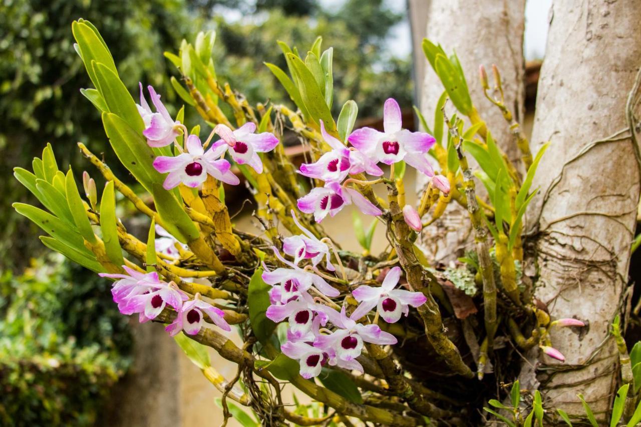 Villa Bem Querer - Camomila Mairipora Bagian luar foto