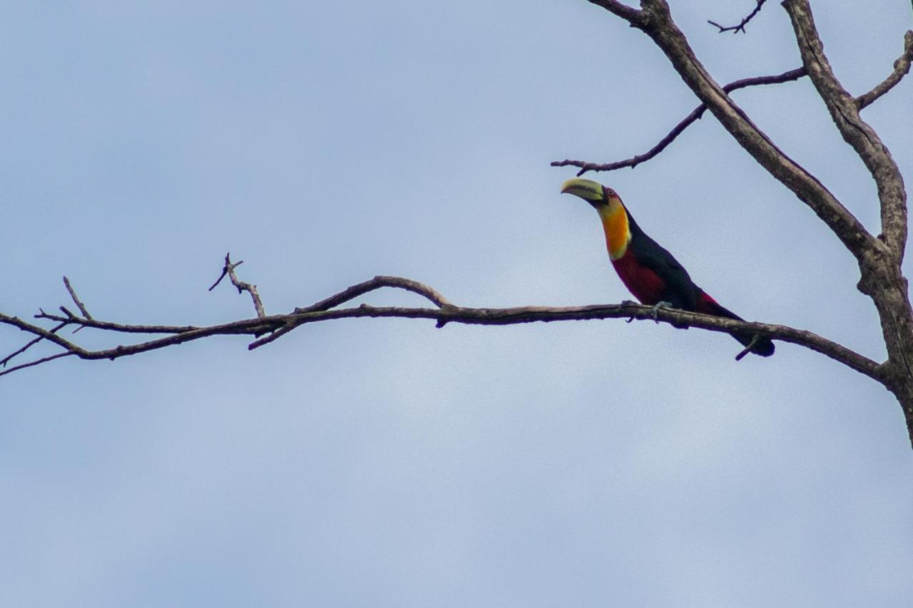 Villa Bem Querer - Camomila Mairipora Bagian luar foto